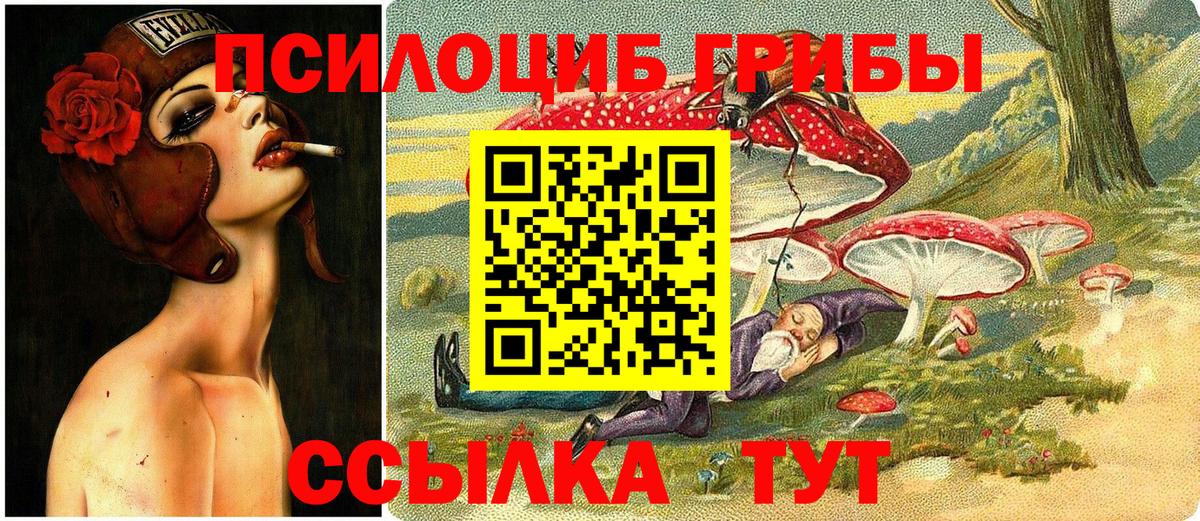 Гуково  Псилоцибиновые грибы прущие грибы  Вход с VPN 